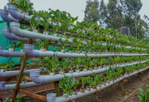 Smart Hydroponics System