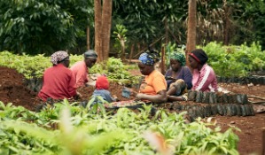 Community Training Workshop